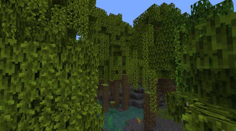 mangrove tree in minecraft 1.19