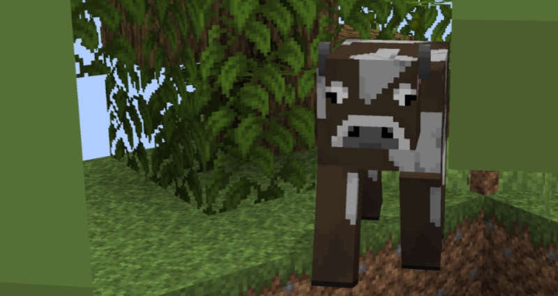 Minecraft Cow In SkyBlock